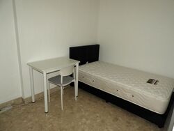 Simei Green Condominium (D18), Condominium #576503221